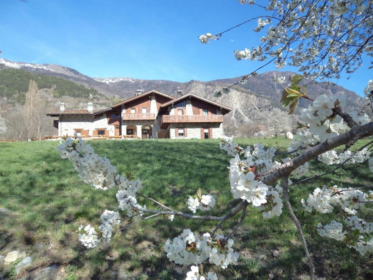 Accomodatie 4 Motoweek 2025 - VillAmour Boutique Hotel & SPA